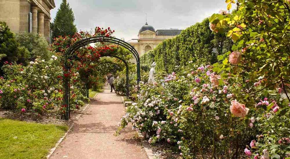 Promenades au vert : les parcs romantiques de Nantes parfaits pour les couples